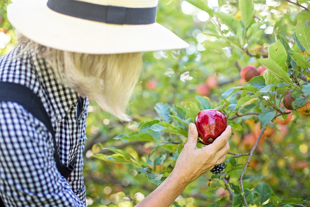 Woman holding a red apple that’s attached to a tree.